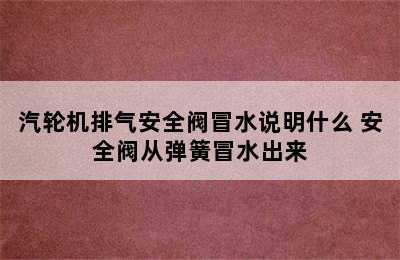 汽轮机排气安全阀冒水说明什么 安全阀从弹簧冒水出来